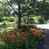 Villages Of Mountain Gap Cottages