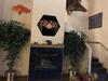 Motel Lakeshore Inn & Suites
