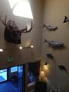 Motel Lakeshore Inn & Suites