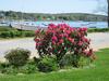 Heart's Desire Bed & Breakfast