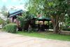 Hotel Big Tree Resort