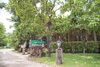 Hotel Big Tree Resort