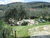Agroturismo Agriturismo Il Colle