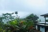 Hotel Paradise Eco Garden