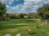 Grange Farm House