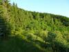 Holiday Home Crkvina