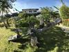 Hotel Mozzview Resort