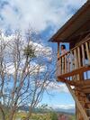 Homestay Da Blah