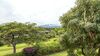 Villages At Mauna Lani #621