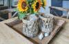 Apartamentos Het Vissershuisje