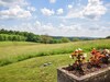 Villa Lush Holiday Home In Montcabrier With Swimming Pool