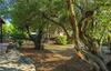 Three-bedroom Holiday Home In Drvenik Mali