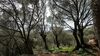 R�sidence A Tribbia