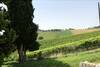 B&B Santa Caterina