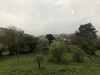 Pension Pazo de Laia - Adults Only