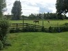 Recreatiebedrijf de Koevoet