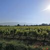 Maison D'anvers B&B