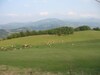 Agroturismo Tenuta C� Di Bertucci