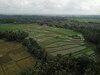 Villa Asri Sari Resort Ubud