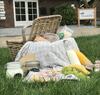 Apartamentos Gastenverblijf Rodenburg