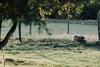Agroturismo Ranczo W Dolinie
