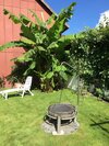 Apartamentos Ferienwohnung Dettum