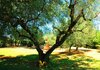 B&B Casale Ansamagi