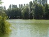 Bed & Breakfast La Maison Des Etangs