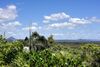 Piccolo Peregian - Pet Friendly- Peregian Beach, Qld