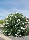 Hotel Chambre Priv�e A La Campagne