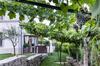 Agroturismo Casa Da Cevidade