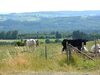 Cozy Holiday Home In Houffaliz With Garden