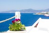 Omiros The Feelgood Hotel