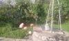 Hostal Villa Rustica