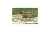 Holiday Home D�lemo Fosslaugfoss