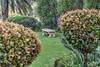 Hotel Road Lodge Germiston Lake