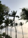 Apartamento Shalimar Beach Resort