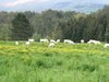 Agroturismo Fattoria Di Marena