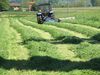Agroturismo Fattoria Di Marena