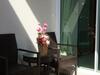 Samui Island Beach Resort & Hotel