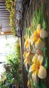 Hostal A House Boutique Guesthouse