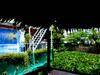Hostal Phiman Riverview Guesthouse