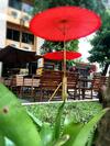 Albergue Panda House Chiang Mai