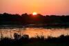 Hotel Selous Kinga Lodge