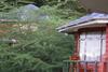 Hotel Udzungwa Falls Lodge