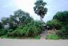 Hotel Selous Wilderness Camp