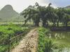 Hotel Tam Coc Rice Fields Resort