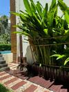 Hotel The Bihai Hua Hin