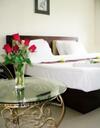 Hotel Sea Star House