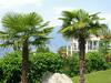 Apartamento Miralago 10